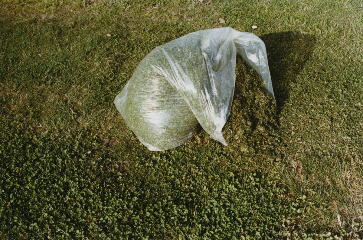 Samuel Laurence Cunnane, Bag of cut grass, 2016. 5 x 7.5 inches, courtesy of the artist.