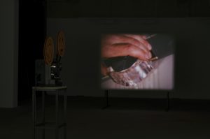 Ronan McCrea, Film Material, 16 mm found film (silent) film projection, looping mechanism, screen, 11’32’’. Installation shot of MATERIAL(s) at Green on Red Gallery, courtesy of the artist.