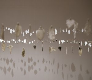 Elva Carroll, installation view, image courtesy of the artist.