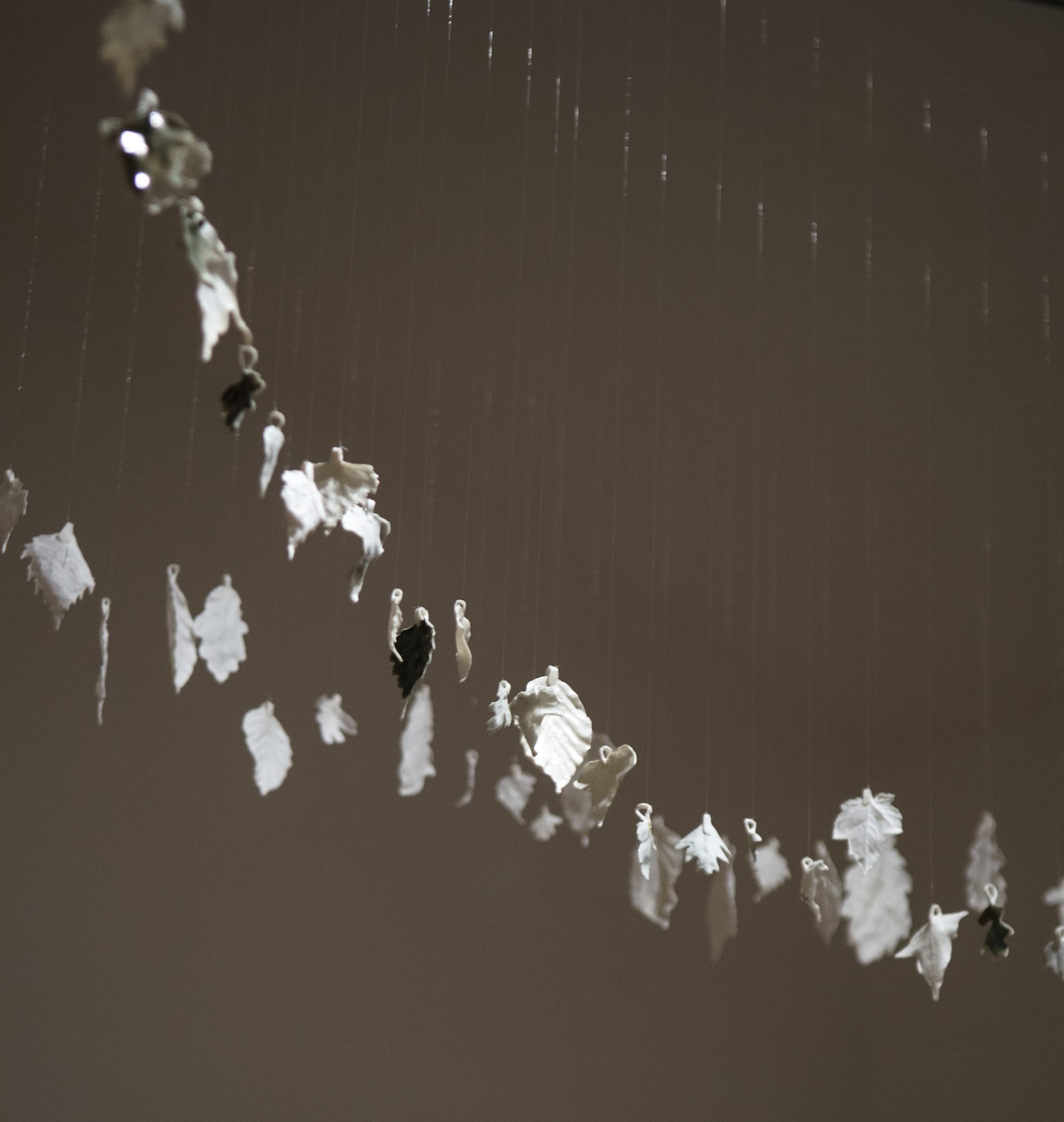Elva Carroll, installation view, image courtesy of the artist.