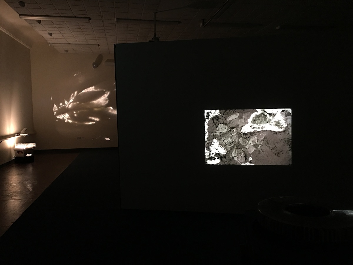 Aoife Fogarty, Engulf, installation view, image courtesy of the writer.