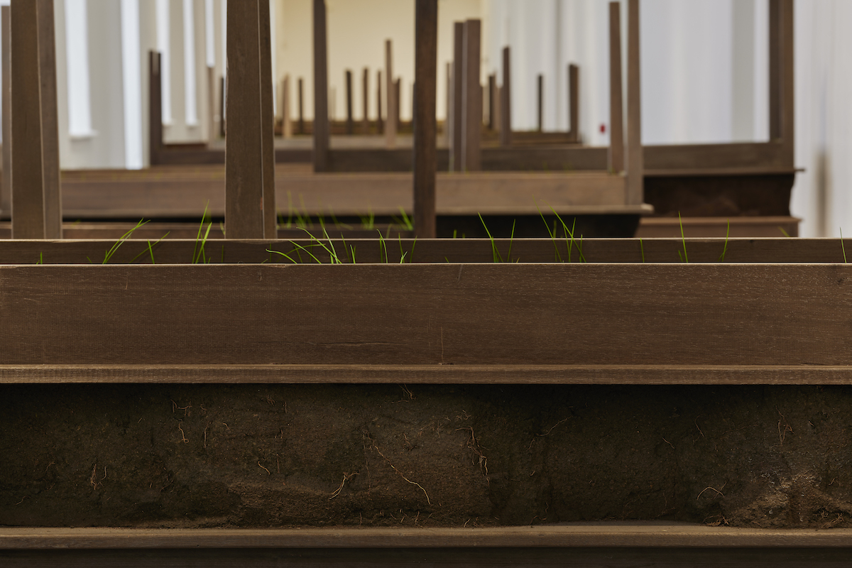 Doris Salcedo, Plegaria Muda, 2008–2010, Wood, mineral compound, cement and grass (28 units), Dimensions variable, Courtesy of the artist and White Cube Gallery, London. Installation view Doris Salcedo, Acts of Mourning, IMMA, Dublin, 2019. Photo: Ros Kavanagh