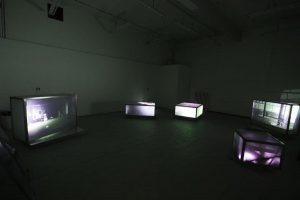 Aoife Claffey, EI 724, installation view, image courtesy of the artist.