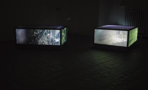 Aoife Claffey, EI 724, installation view, image courtesy of the artist.