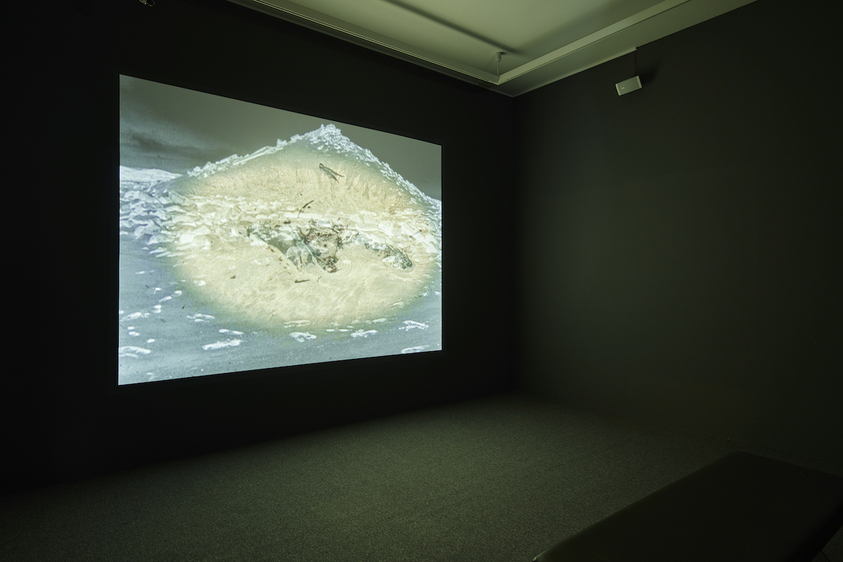 Alanna O’Kelly, Sanctuary/Wastelands, 1994, Video 10min 53sec, Collection Irish Museum of Modern Art, Purchase 1997. Photo Ros Kavanagh.