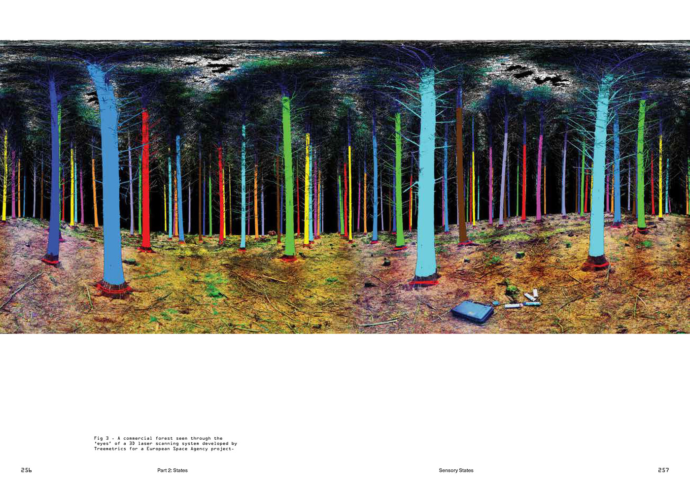 ANNEX, States of Entanglement: Data In The Irish Landscape, ACTAR 2021. Photograph of a 3D laser scan of a forest developed by treemetrics. From the essay \